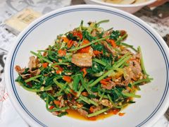 香菜炒牛肉-壹盏灯(蚂蚁工房店)