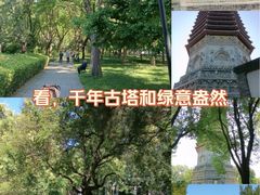 -玲珑塔公园