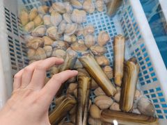 -威海九禧海鲜居渔水饺(经区店)