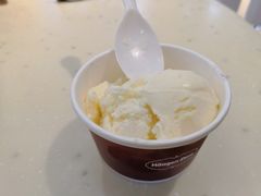 -哈根达斯(扬州瘦西湖店)