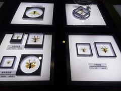 -上海昆虫博物馆