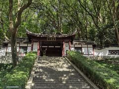 -上海佘山国家森林公园天马山园