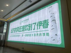 -伊春林都机场