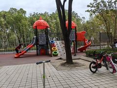-新江湾城公园