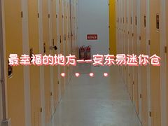 -安东易迷你仓自助寄存仓库(淞虹路店)