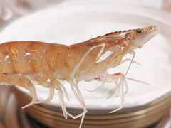 -丰尔粥食·粥底火锅·桑拿鸡(大良总店)