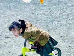-八爪矩阵极限运动馆·儿童平衡车·感统训练(南海子公园校区)