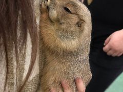 -藦茜花园宠物主题亲子互动体验馆(国顺东路店)