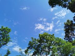 -涂山寺素食餐厅