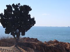 -小麦岛公园