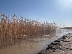 -seeu coffee(江滩店)