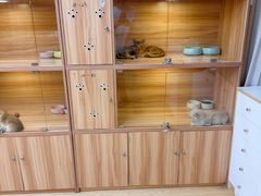 -猫十亿·布偶金渐层·曼基康矮脚猫舍(青年路店)