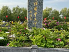 -洛阳市隋唐城遗址植物园