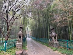 -云栖竹径