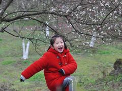 -秀丽东方