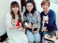 -逗柴咖啡屋·狗咖猫咖宠物桌游