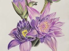 -八哥美术·成人美术画室(总校区)