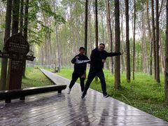 -黄海国家森林公园