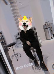 -HairCode芭曲发型
