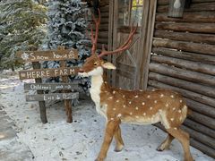 -HERRE·FARM 赫尔露营农场·团建聚会包场