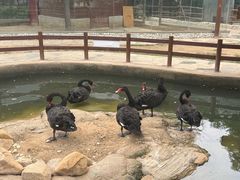 -南戴河国际娱乐中心