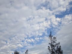 -汕尾风车岛
