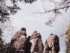 -汤旺河林海奇石景区