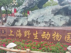 -上海野生动物园