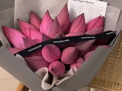 -红星美凯龙北京至尊MALL(东四环中路店)