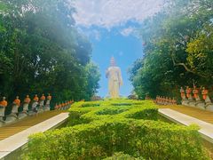 -西双版纳勐泐文化旅游区