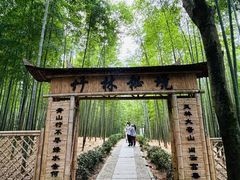 -大奇山国家森林公园