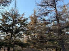 -迎泽公园