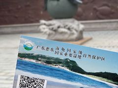 -广东惠东海龟国家级自然保护区