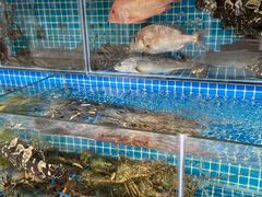水产区-潮香阁海鲜餐厅(较场尾店)