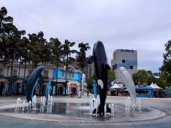 -海合安成都极地海洋公园