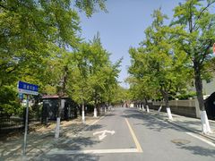 -八大关景区