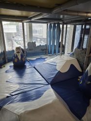 -meland亲子乐园·派对·研学(淄博万象汇店)