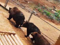 -昆明动物园