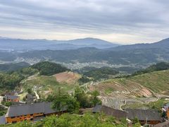 -紫鹊界梯田景区