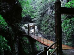 -牛背梁国家森林公园