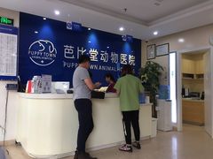 -芭比堂动物医院·24小时·眼科中心(深圳中心)