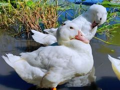 -长春市南湖公园