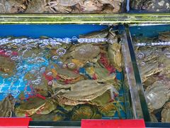 -金海湾海鲜排档(朱家尖店)