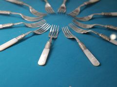 -青岛贝壳博物馆