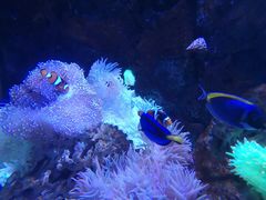 -太平洋海底世界