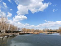 -东郊湿地公园