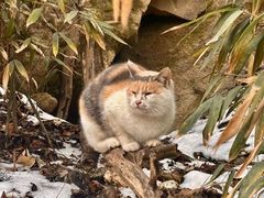 -终南山南五台景区