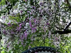 -深圳国际园林花卉博览园