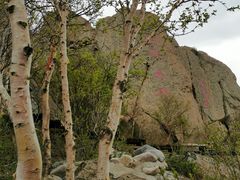 -白草畔自然风景区