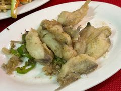 -蛇口康乐快餐鱼仔档(翠苑小区店)